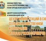 Новгородская область